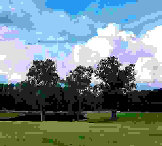 Fieldstream Farm Christmas Light Show Raleigh, North Carolina